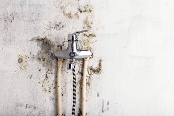 Best Mold Testing  in Smyrna, GA