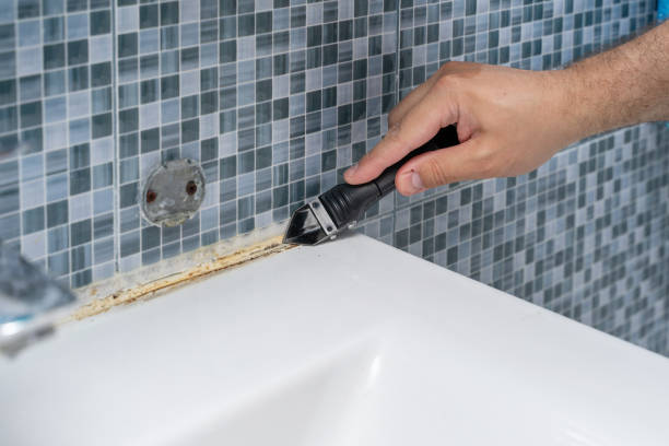 Best Fast Mold Removal  in Smyrna, GA