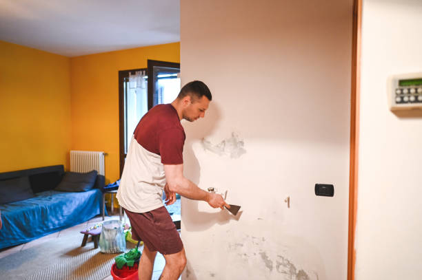 Best Same-Day Mold Removal  in Smyrna, GA
