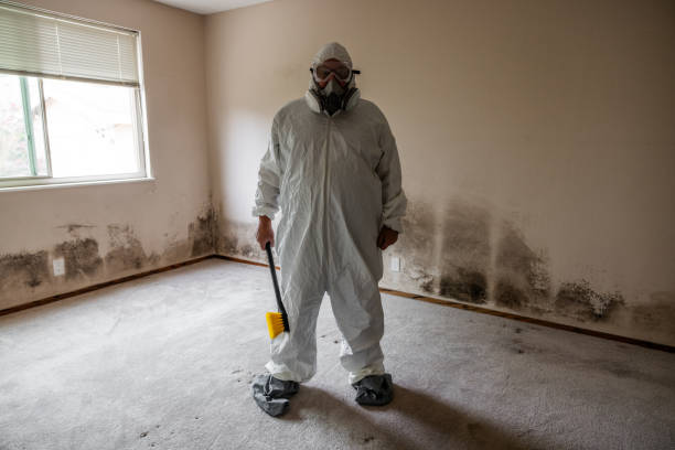 Best Commercial Mold Removal  in Smyrna, GA