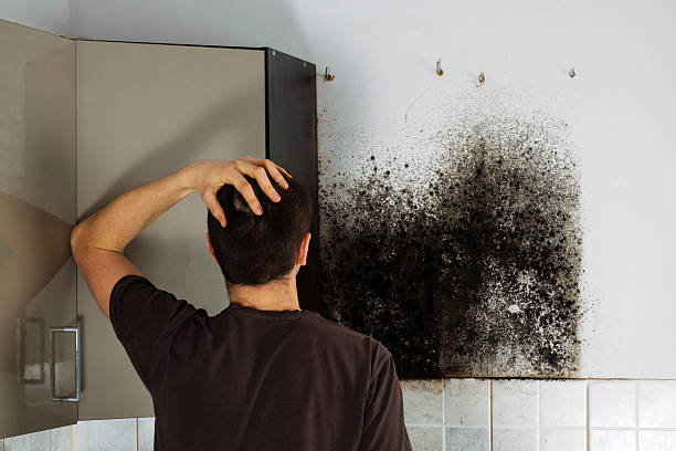 Best Residential Mold Removal  in Smyrna, GA